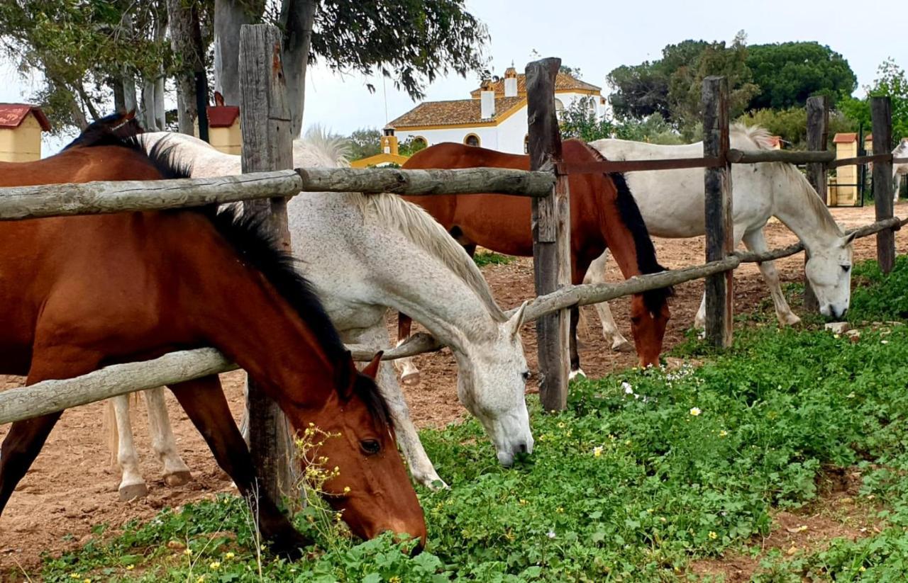 Posada Rural La Corbera Утрера Экстерьер фото