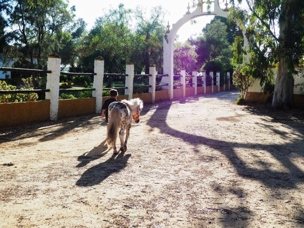 Posada Rural La Corbera Утрера Экстерьер фото
