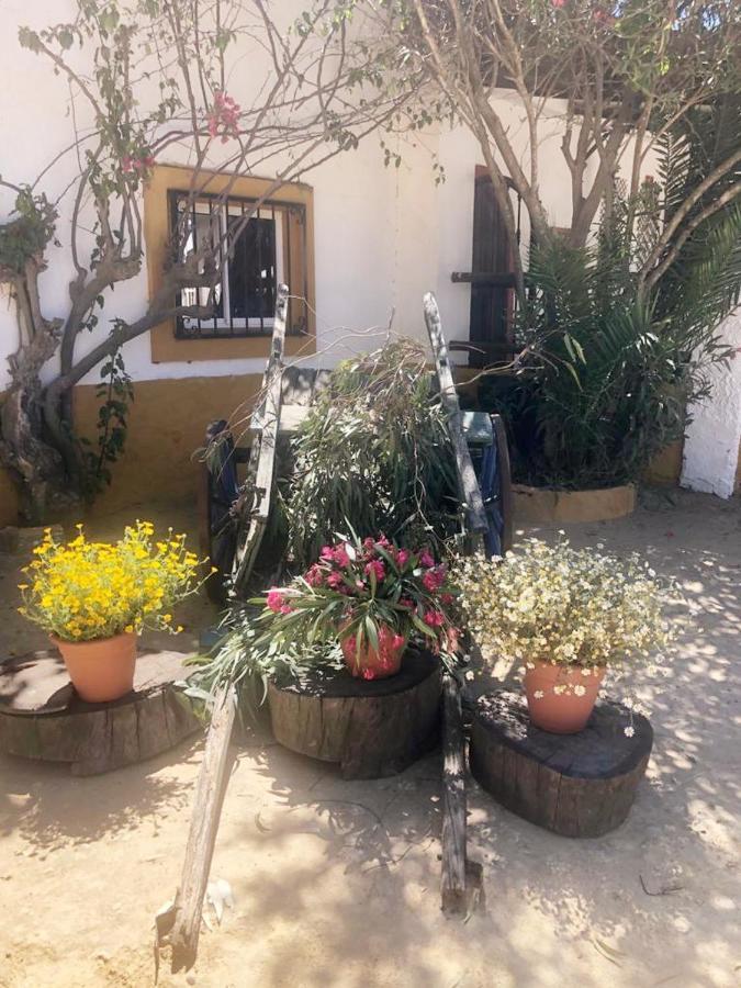 Posada Rural La Corbera Утрера Экстерьер фото